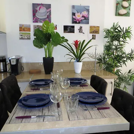 9 Avenue De Carras * 尼斯