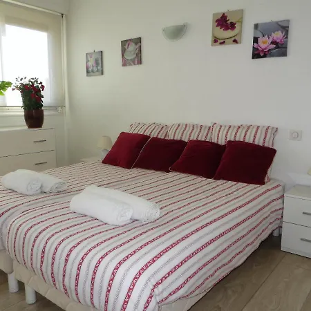 9 Avenue De Carras شقة *