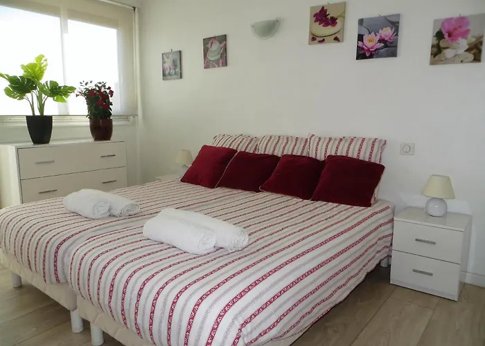 9 Avenue De Carras Apartment *